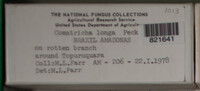 Image Associated With the Occurence